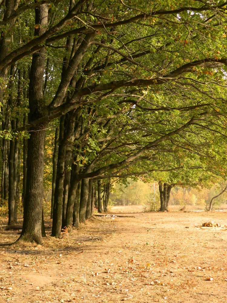 Photograph by Никитина Анна