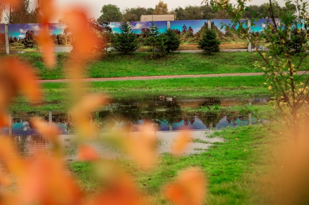 Фотография автора Александр Сенчуров