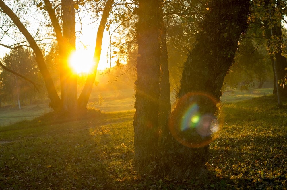 Фотография автора Александр Сенчуров