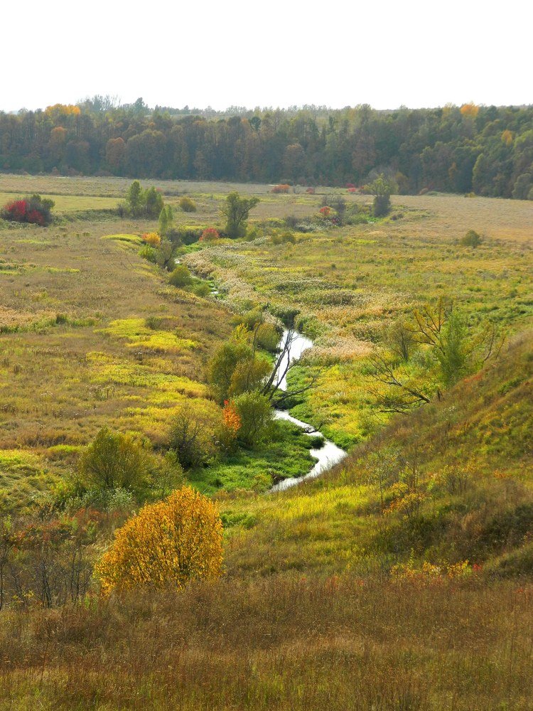 Photograph by Никитина Анна