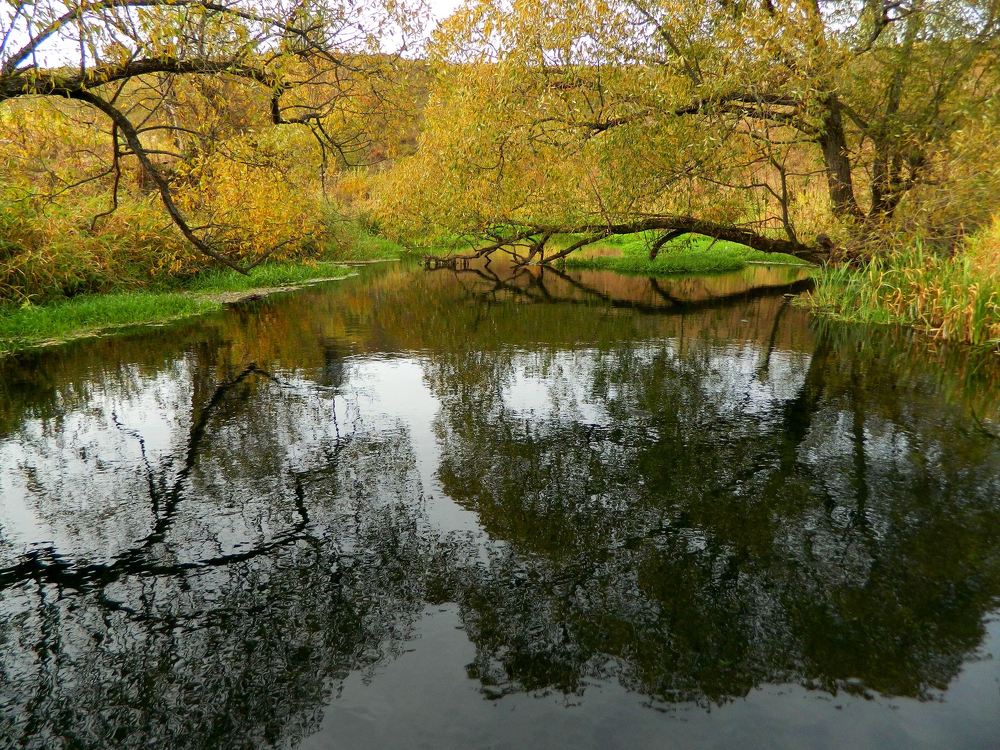 Photograph by Никитина Анна