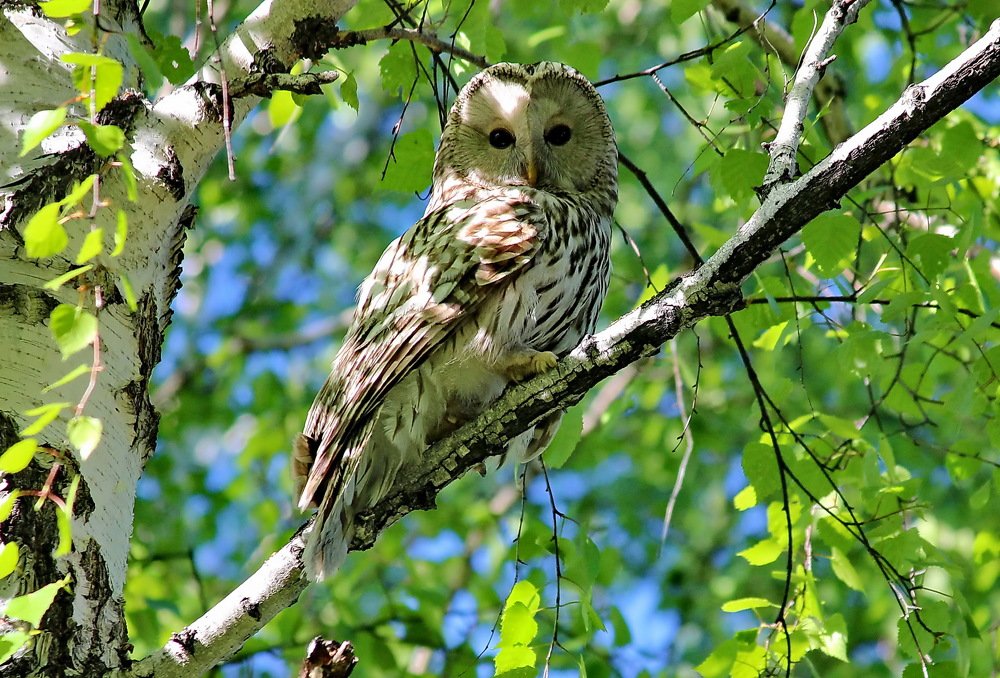 Photograph by Наталья Юрова