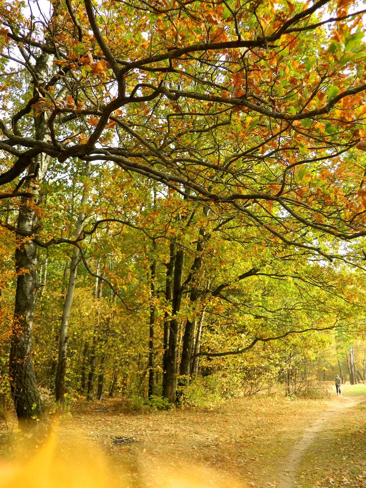 Photograph by Никитина Анна