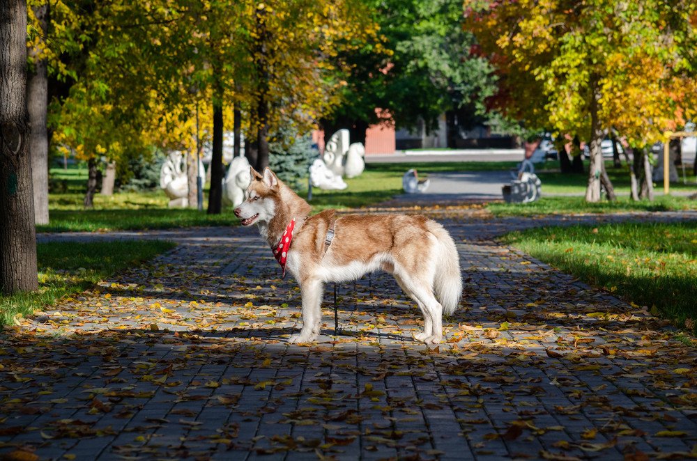 Photograph by Олег Смирнов