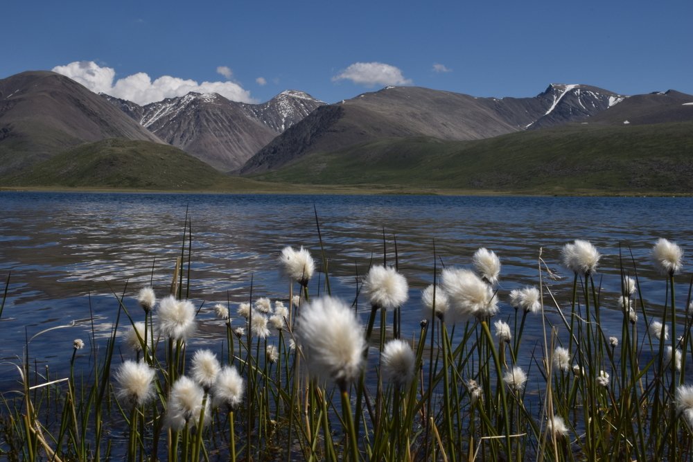 Озеро Киндыктыкуль, Горный Алтай