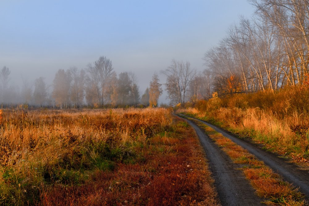Осеннее утро