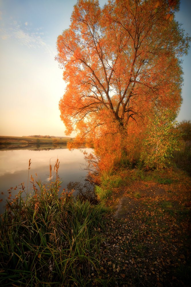 Photograph by Николай Борисов