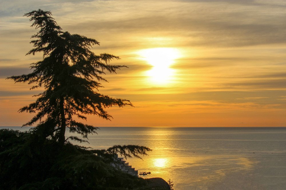 Фотография автора Марина Иванова