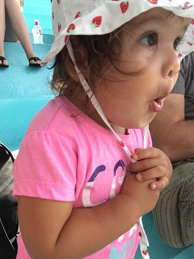 first time he sees a Dolphin