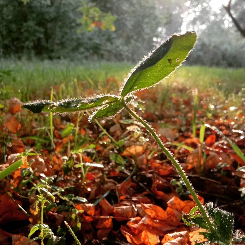 Photograph by Снежана Шепель