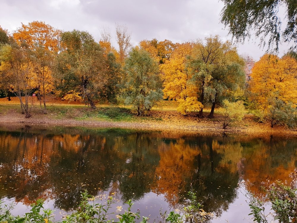 Photograph by Полина