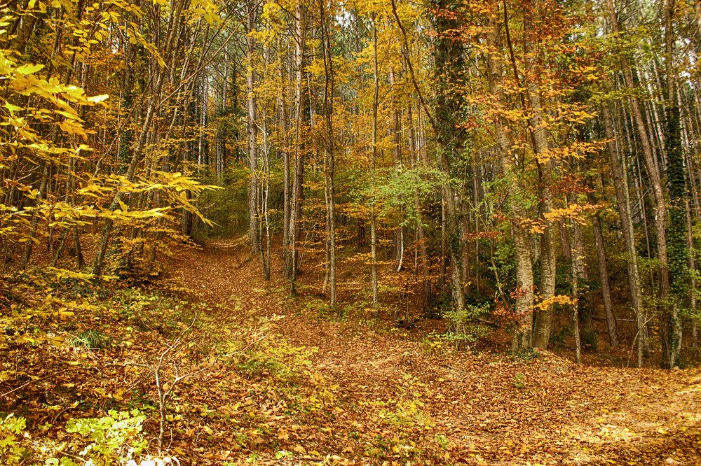 Фотография автора Марина Иванова
