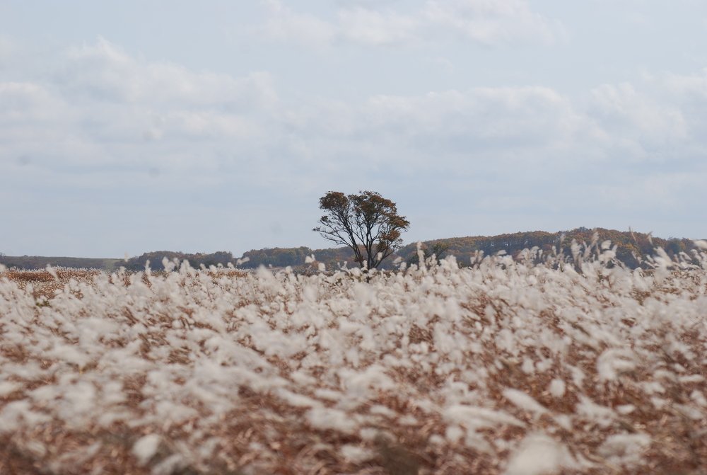 Photograph by Оксана Трофименко