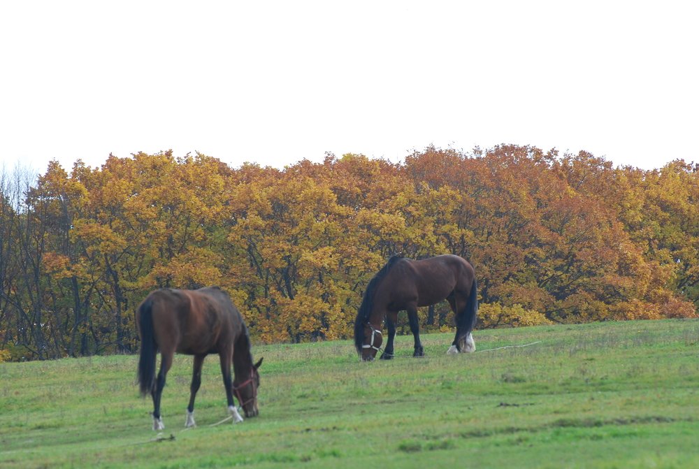 Photograph by Оксана Трофименко