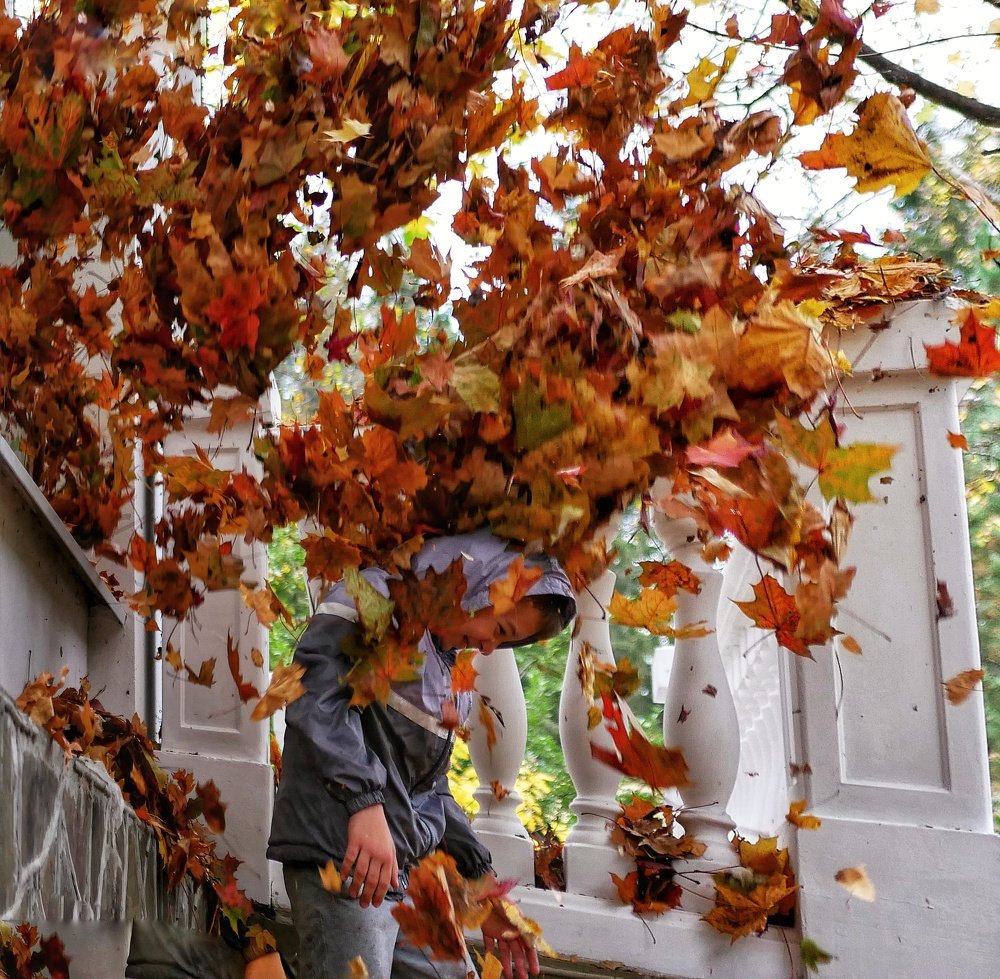 Photograph by Alena L.