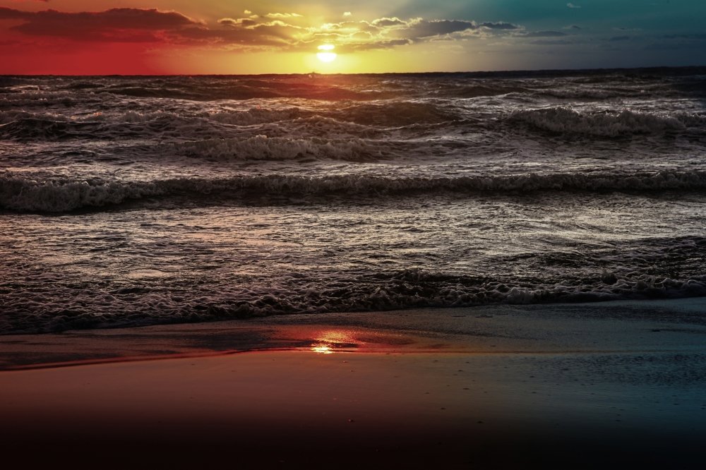 Photograph by Sax Palumbo