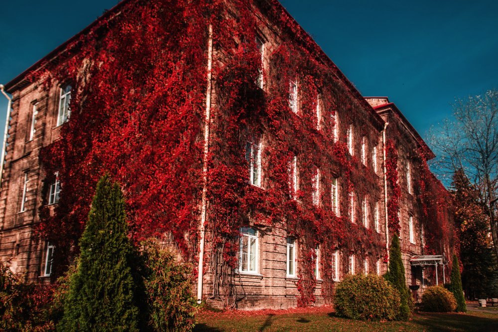 Фотография автора Александр Горовцов