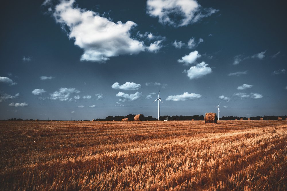 Фотография автора Александр Горовцов