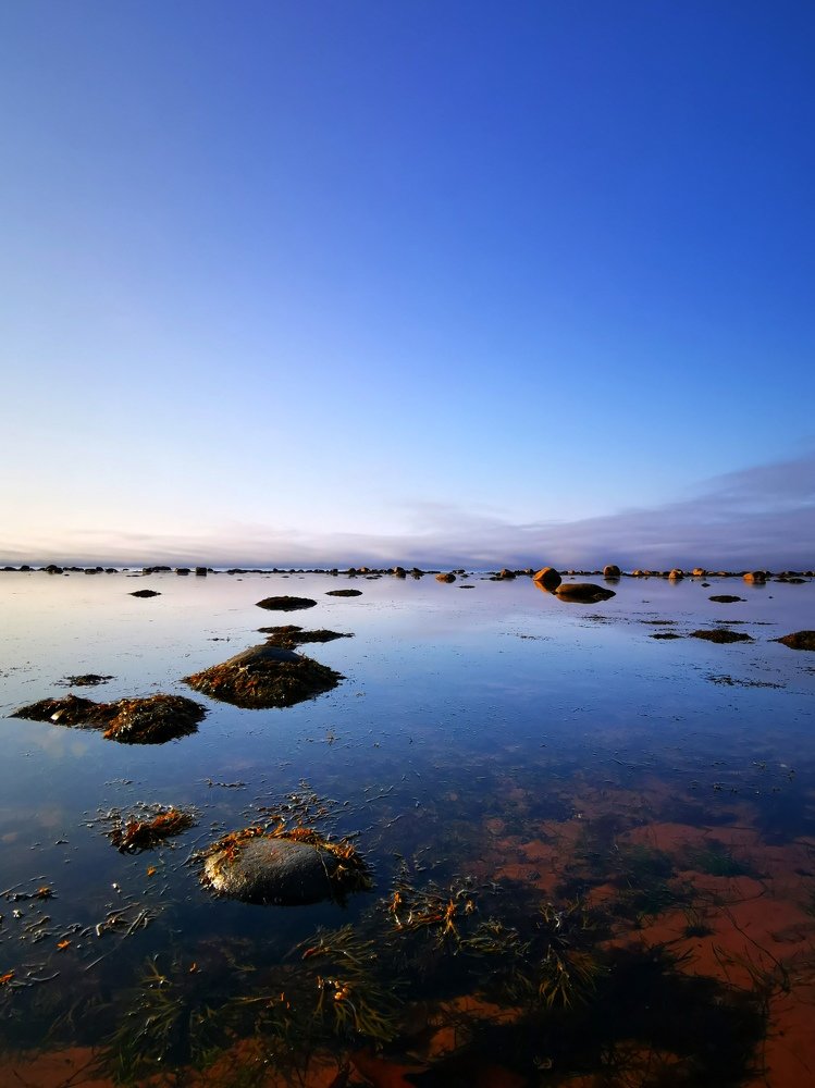 Терский берег. Кольский полуостров