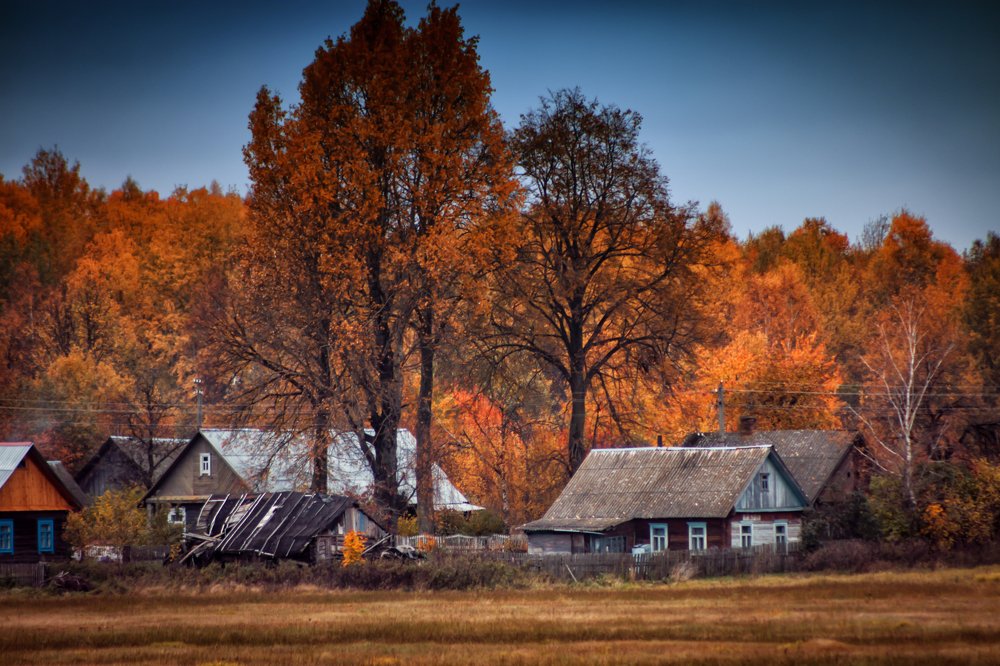 Фотография автора Александр Горовцов