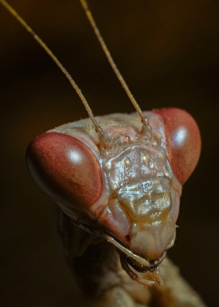 Photograph by Юрьевич Юрий