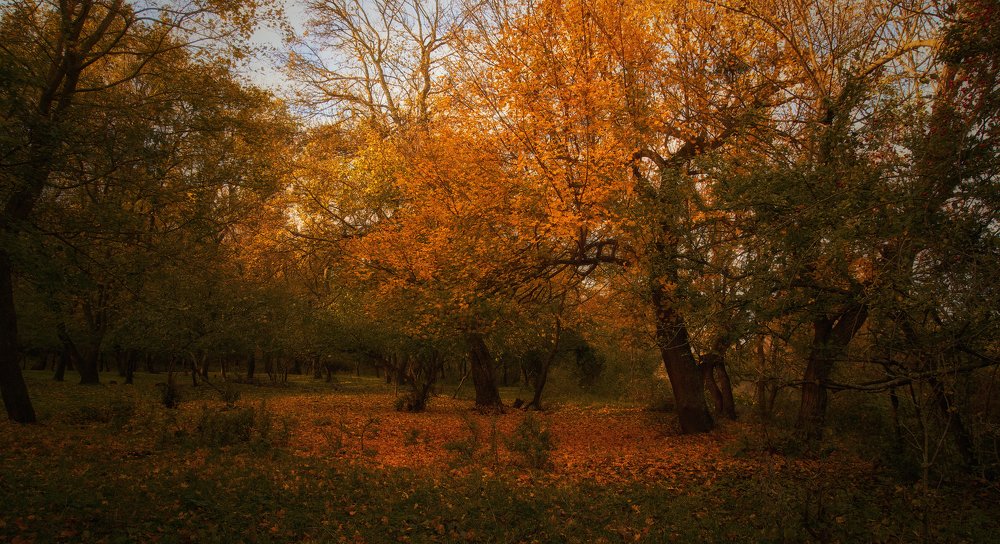 Photograph by Станислав Илюк