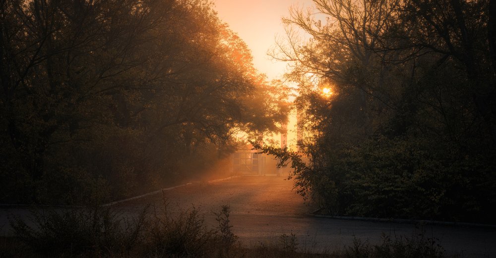 Photograph by Станислав Илюк