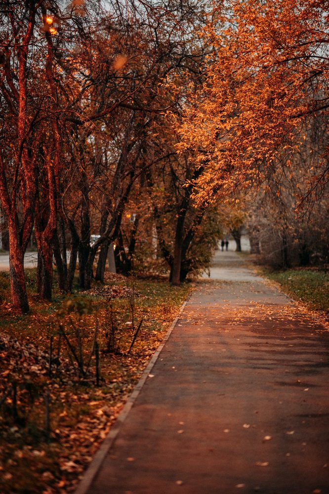 Photograph by Анна Белка