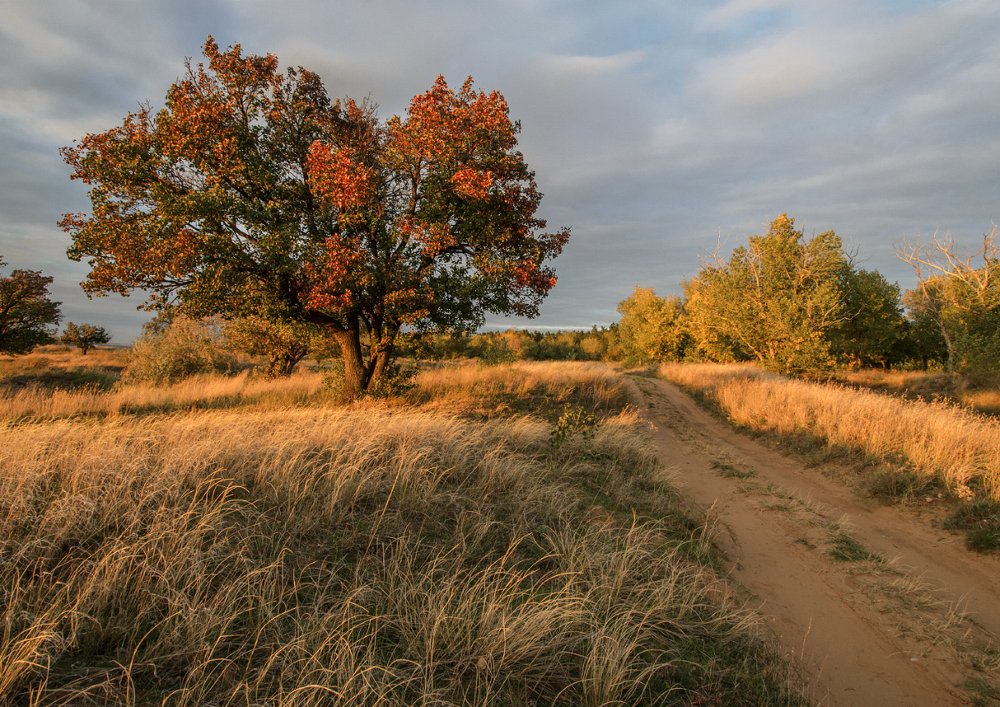 Photograph by Александр Белянский
