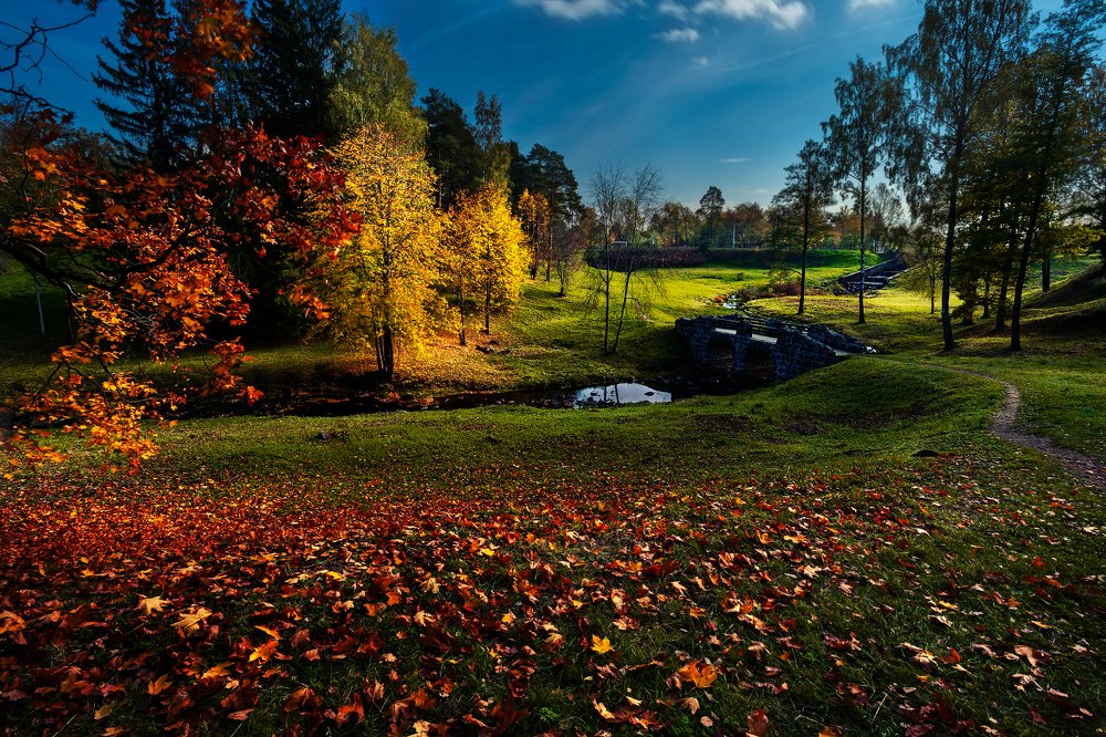 Photograph by Dmitry Yudchenko