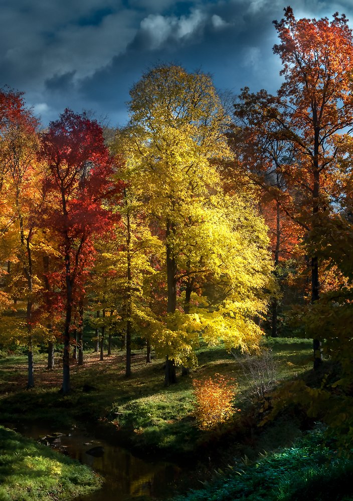 Photograph by Dmitry Yudchenko