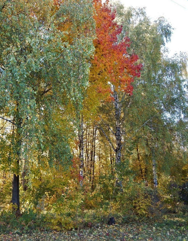 Photograph by Ирина Самойленко