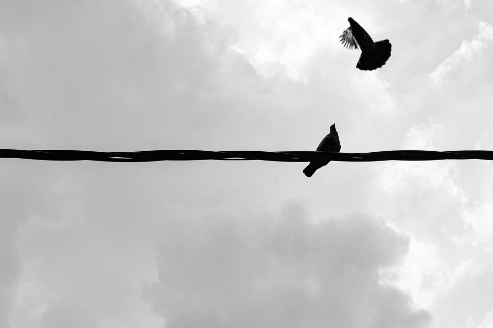 Photograph by Ankush Biswas