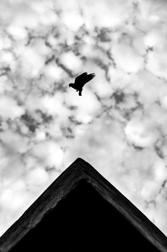 Photograph by Ankush Biswas