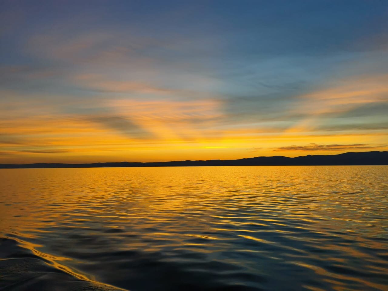 Photo #5045606