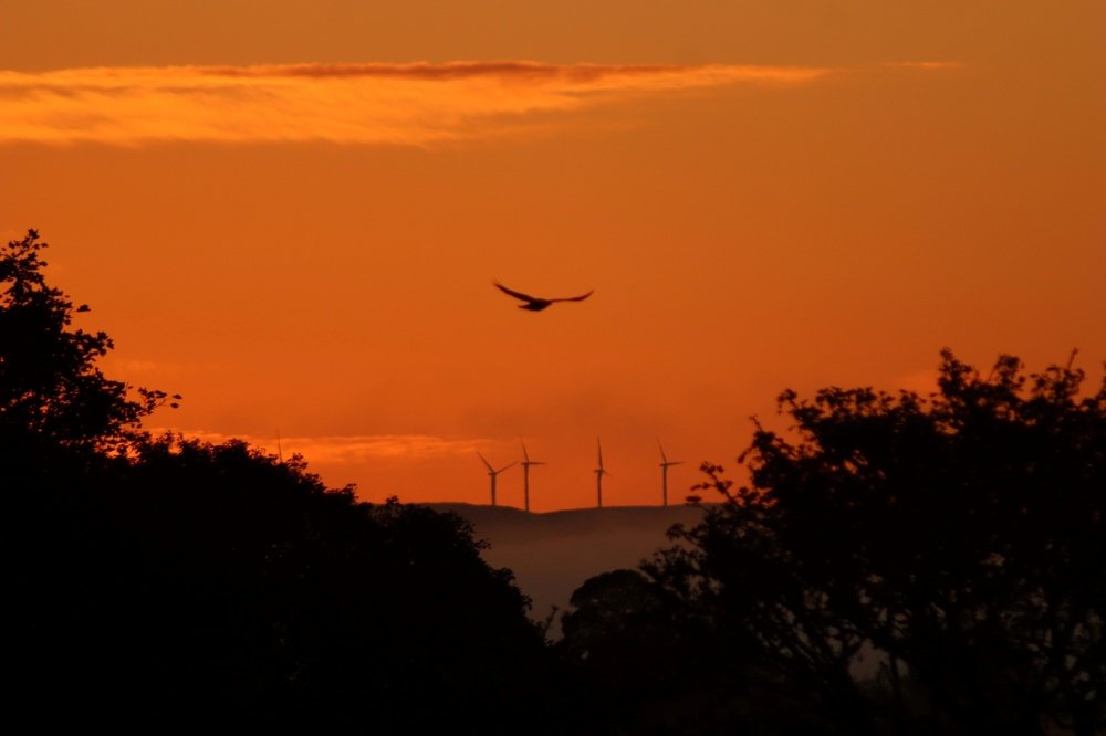 Photograph by Avril Glavin