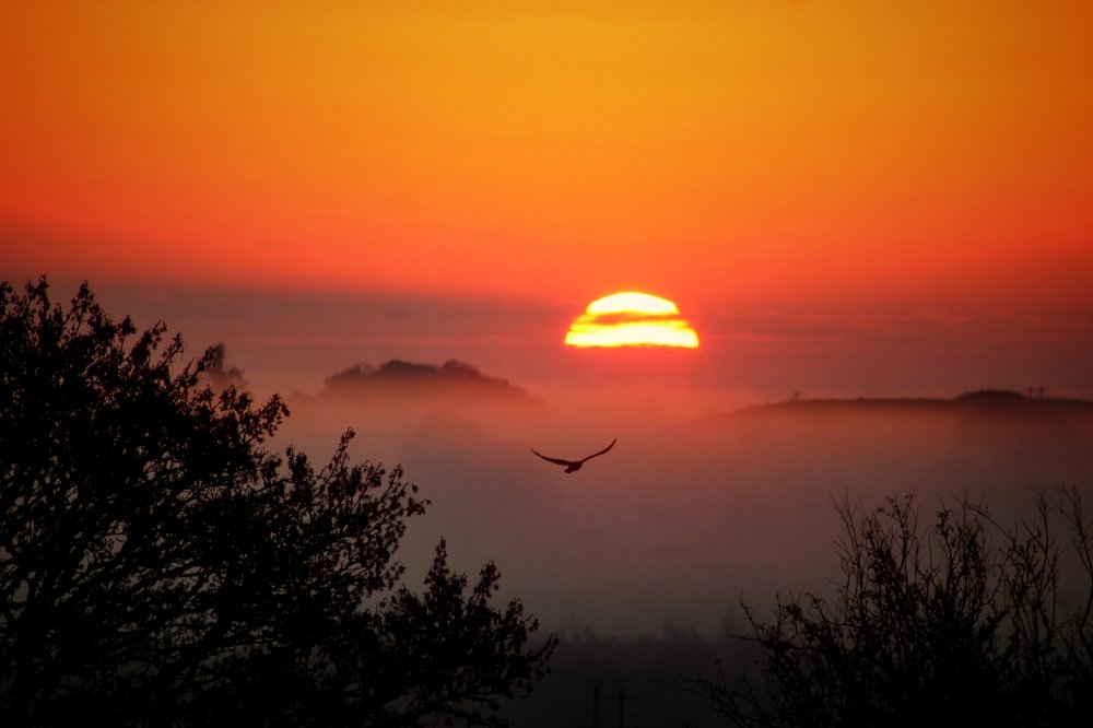 Photograph by Avril Glavin