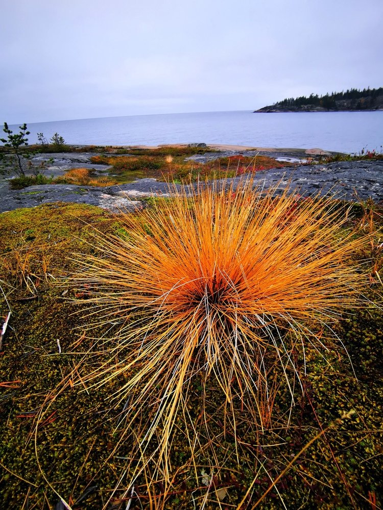 Терский берег. Умба