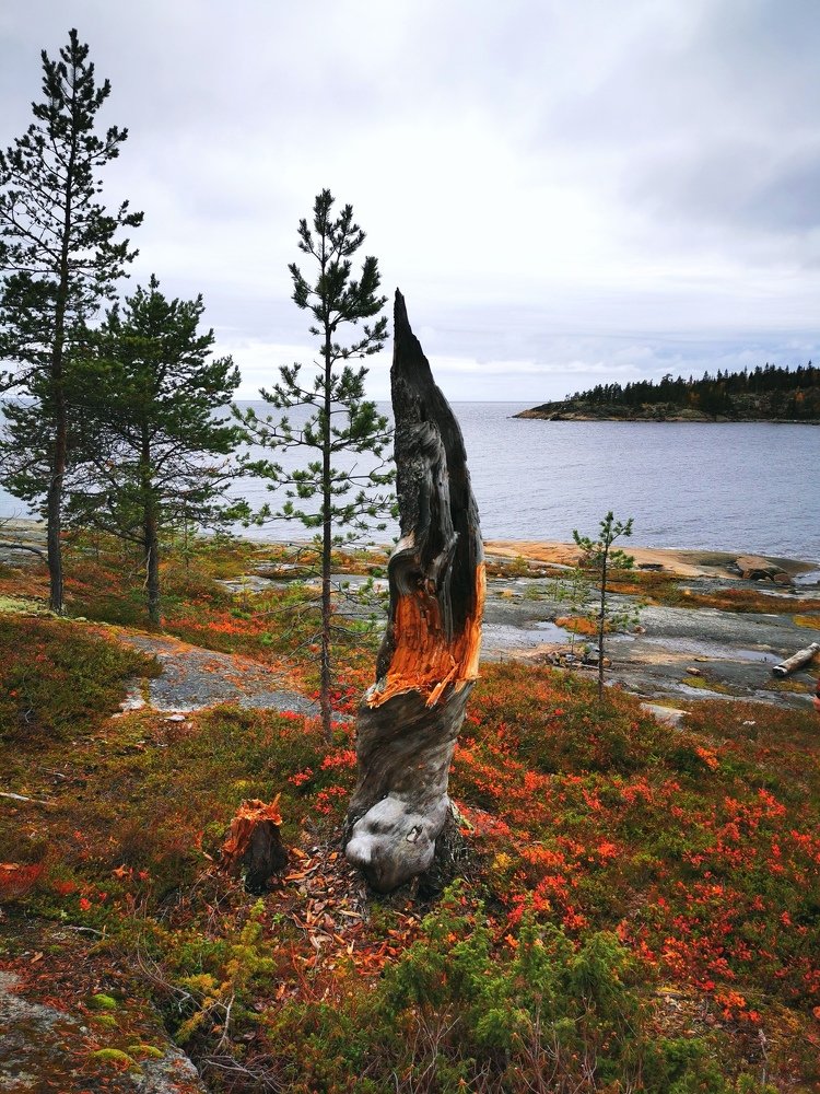 Терский берег. Умба. Кольский полуостров