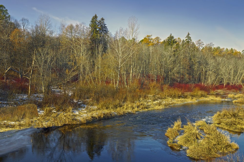 Осенью на Осуге