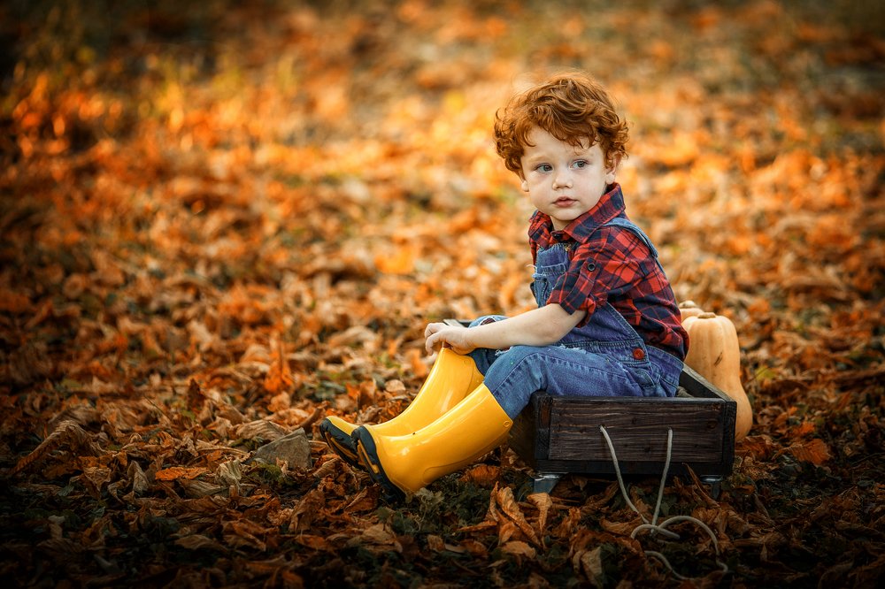 Photograph by Дайман Лия