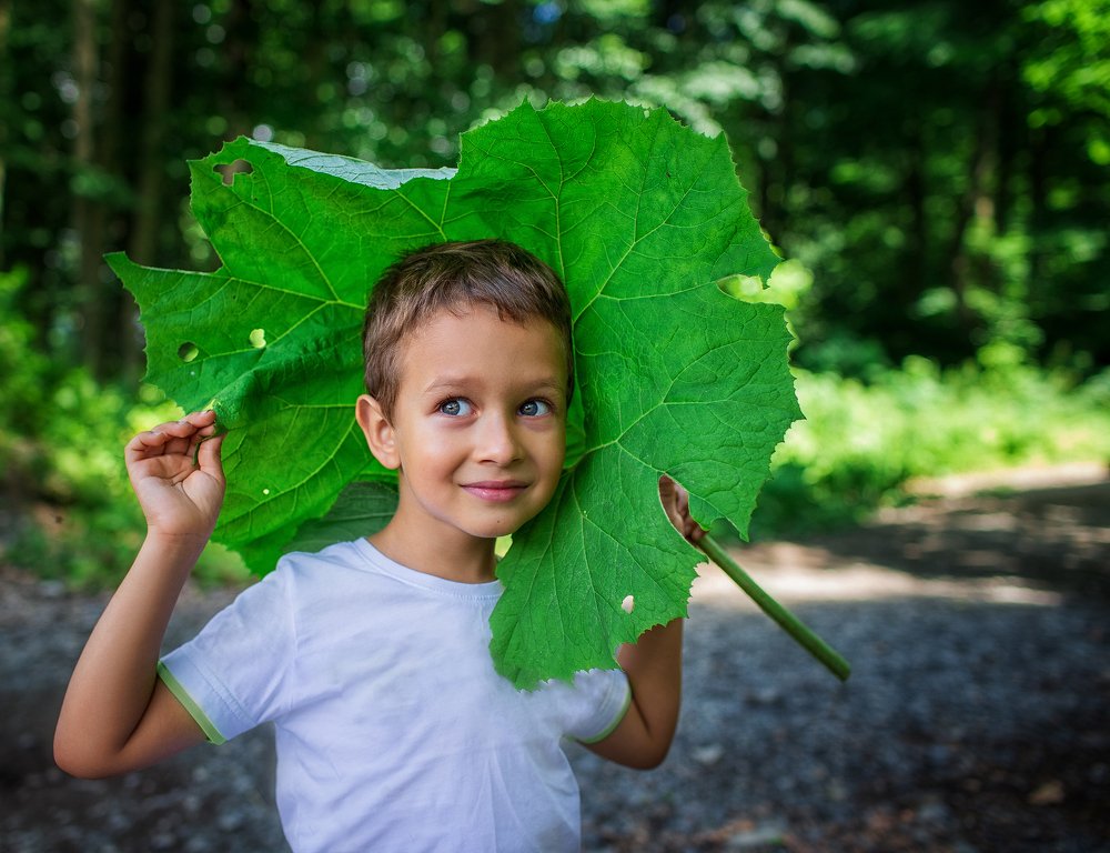 Photograph by Дайман Лия