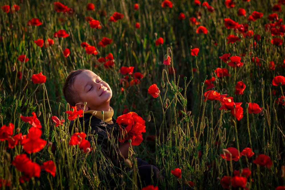 Photograph by Дайман Лия