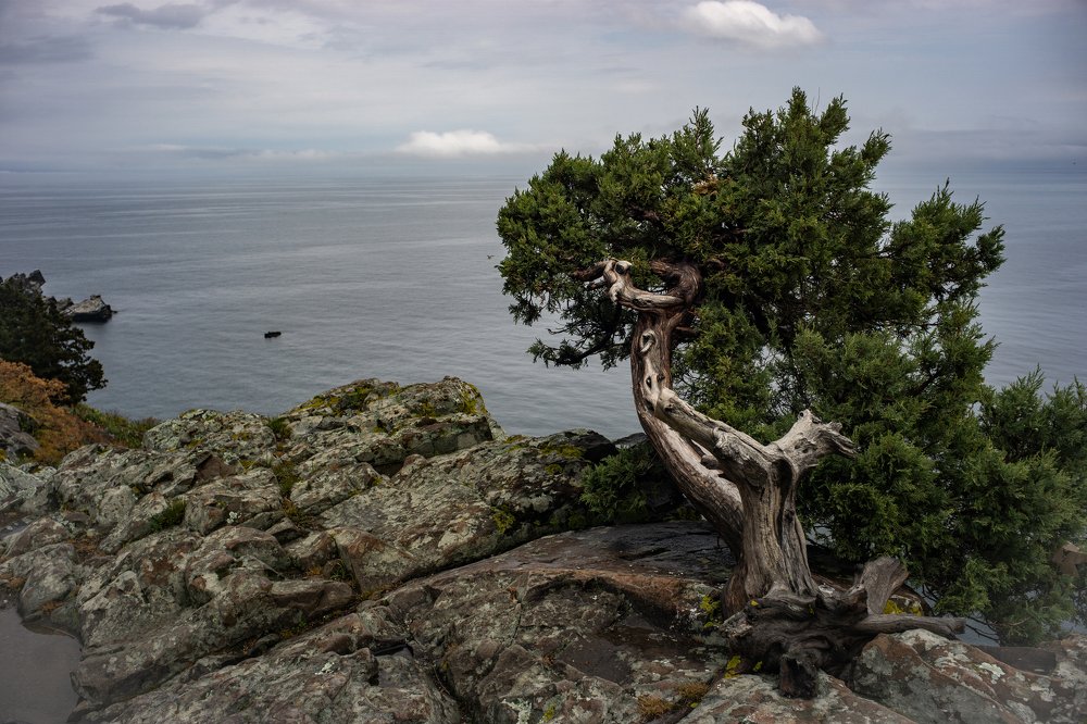 Photograph by Дмитрий Влизько