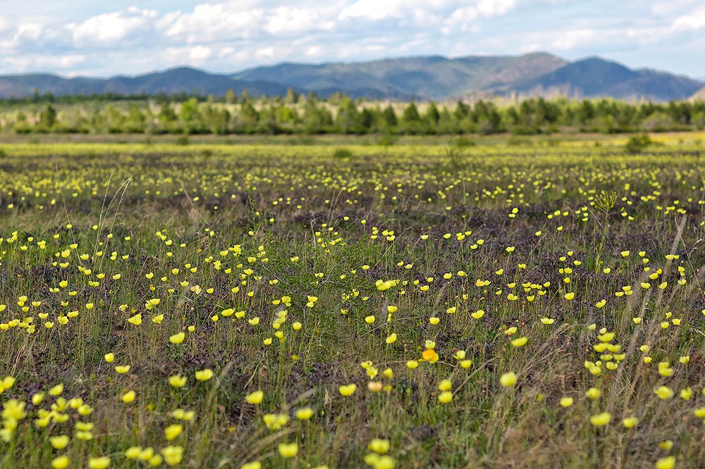 Photograph by Максимова Ольга Васильевна