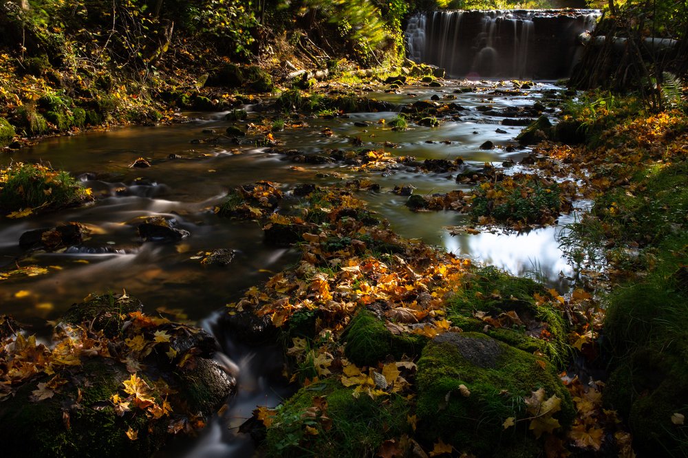 Photograph by Andrejs Komarovs