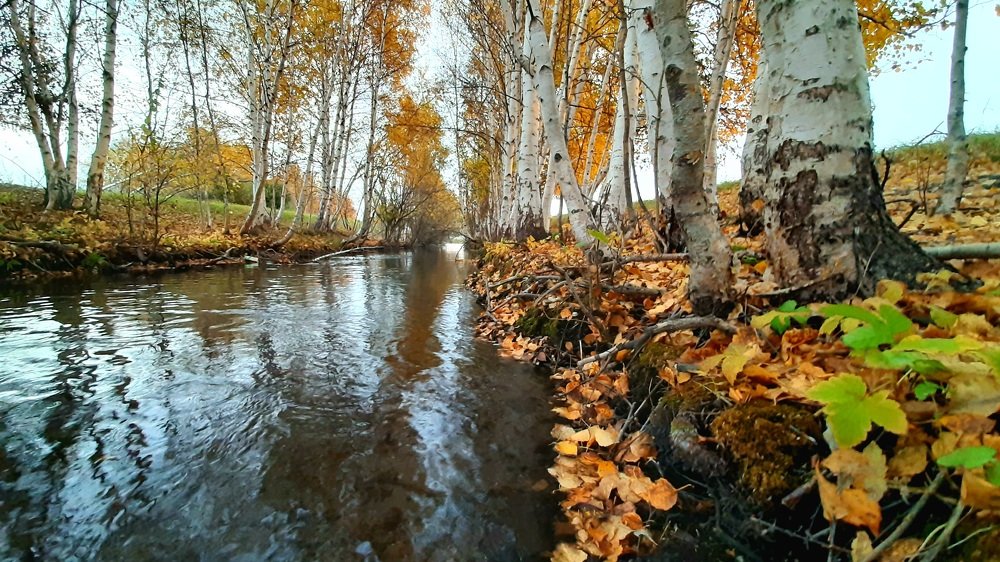 Photograph by Сергей Герасимов