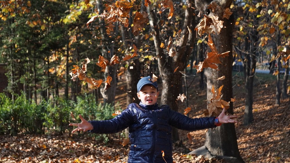 Photograph by Оксана Трофименко