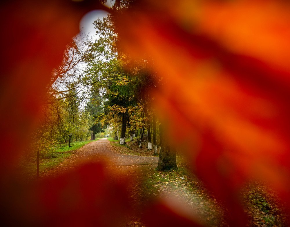 Photograph by Ольга Сафронова