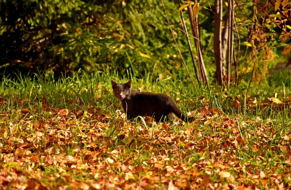 Photograph by Наталья Аржинт